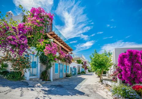 DYO - Bodrum Evi Dekorasyonu İçin Boya Renkleri