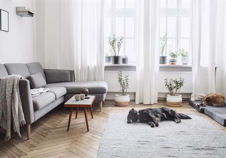 DYO - Küçük evler için dekorasyon fikirleri