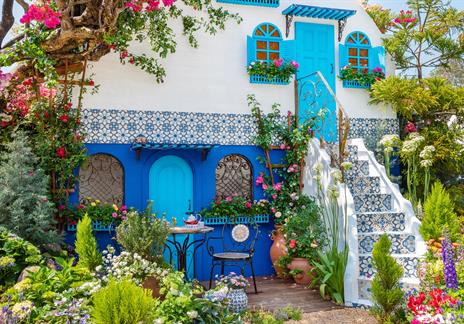 DYO- Bahçenizde Akdeniz Esintisi